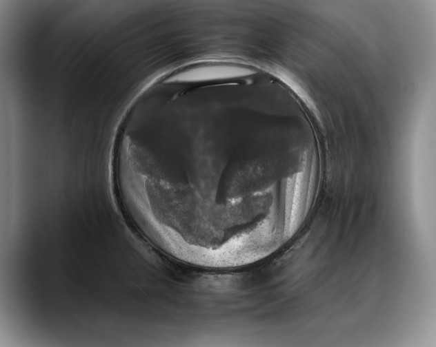 X0000088481237200706121525