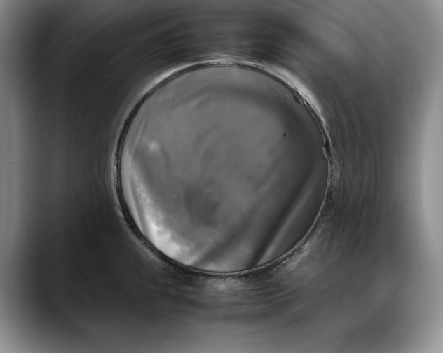 X0000088481239200706121525