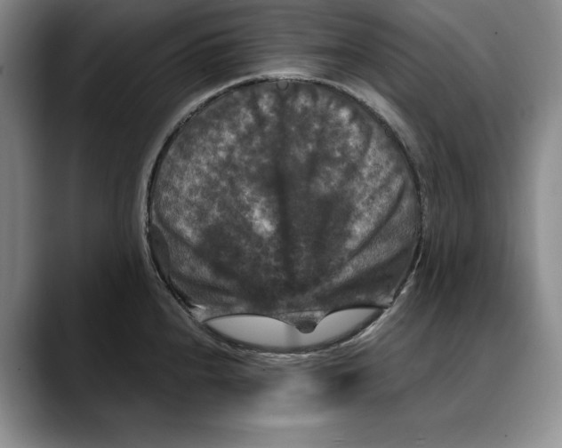 X0000088481240200706121525