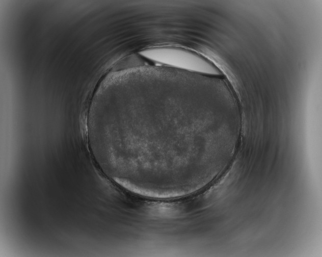 X0000088481241200706121525