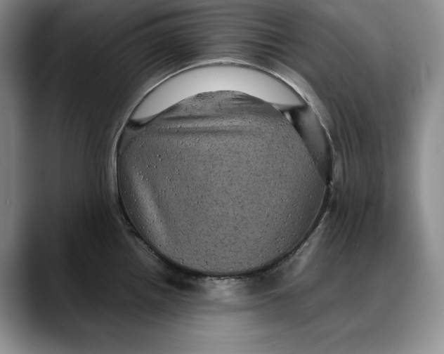 X0000088481242200706121525