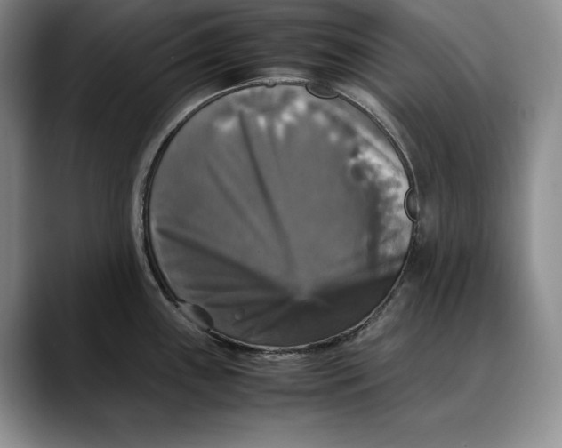 X0000088481243200706121525