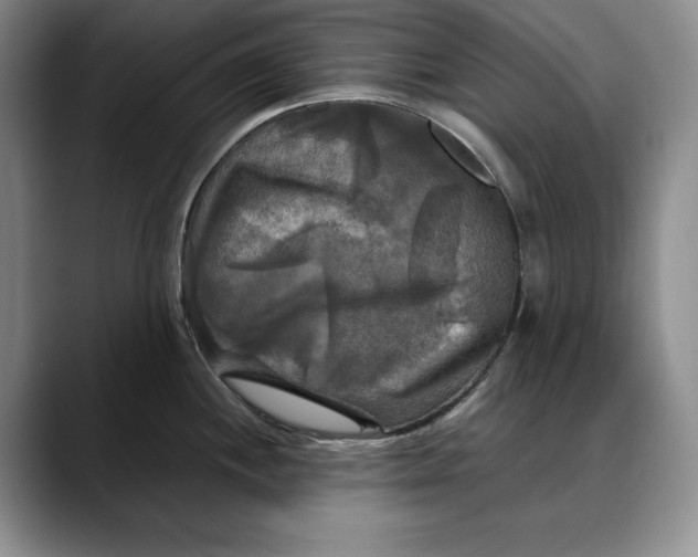 X0000088481244200706121525