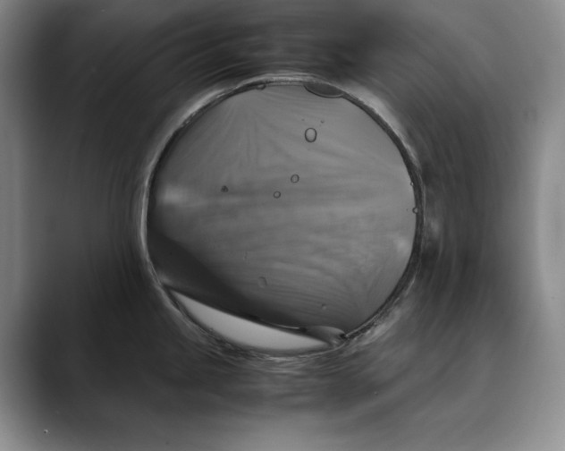 X0000088481245200706121525