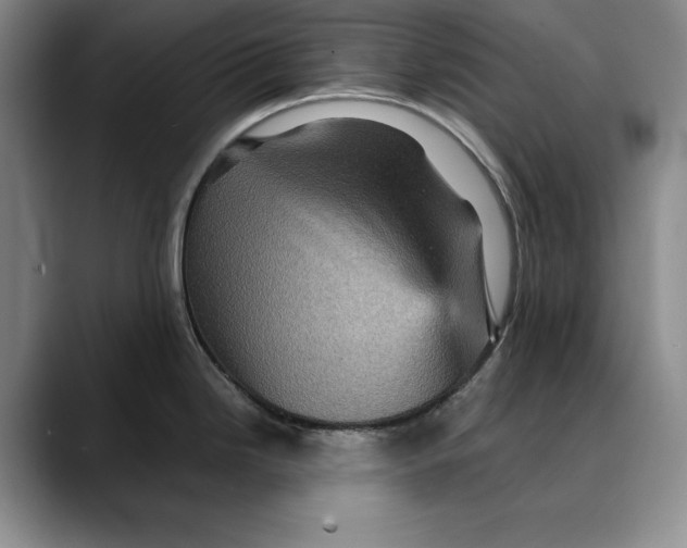 X0000088481246200706121525
