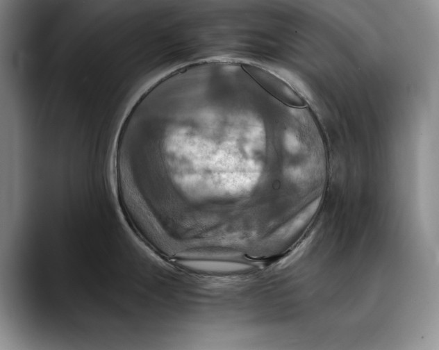 X0000088481247200706121525