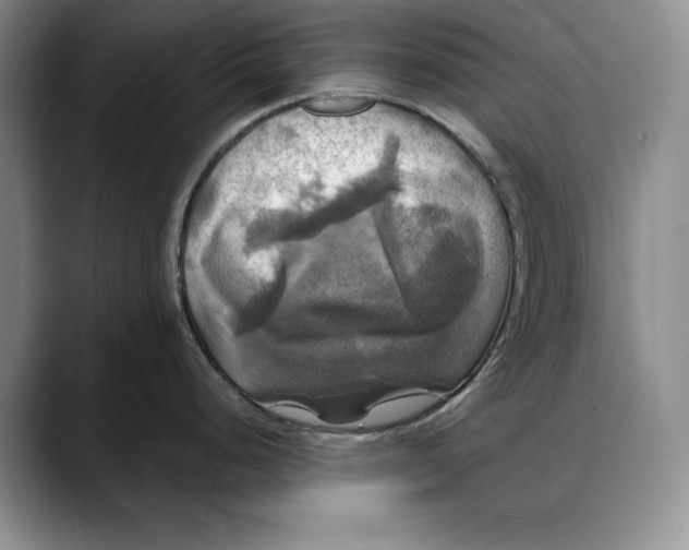 X0000088481248200706121525