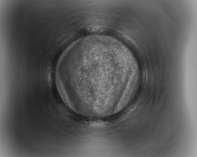 X0000088481250200706121524