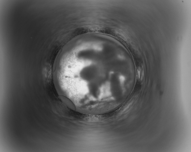 X0000088481251200706121524