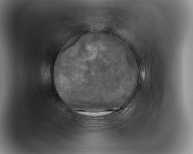 X0000088481252200706121524