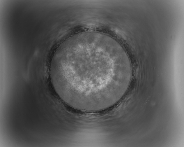 X0000088481253200706121524