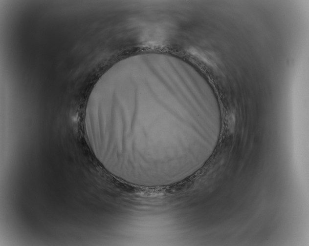 X0000088481254200706121524