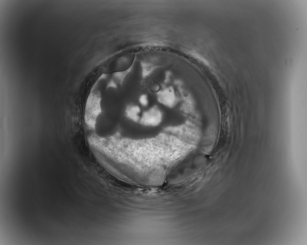 X0000088481255200706121524