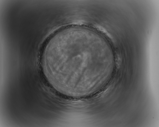 X0000088481256200706121524