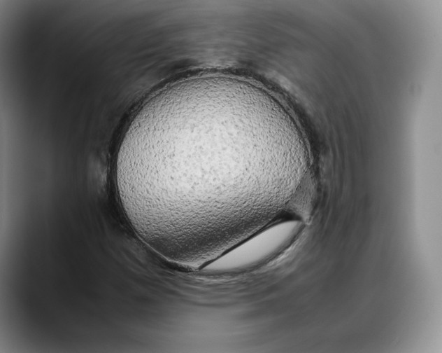 X0000088481257200706121524