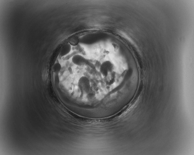 X0000088481259200706121524