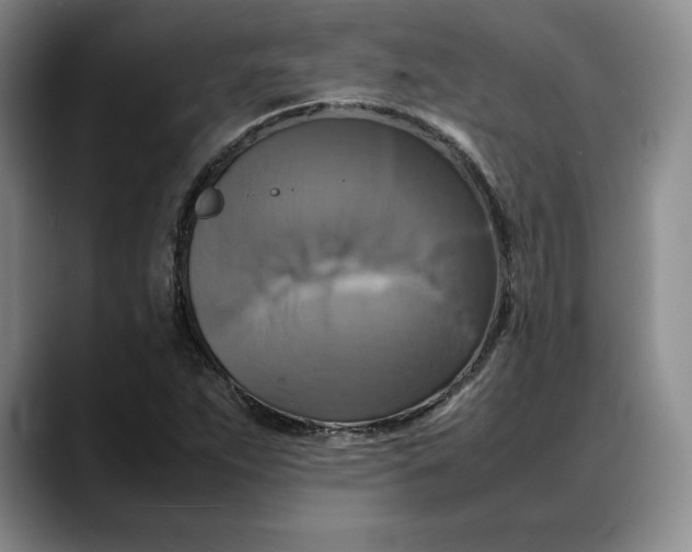 X0000088481263200706121524