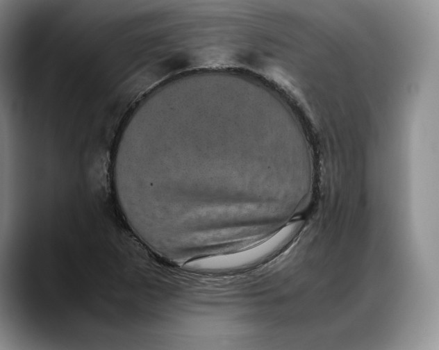 X0000088481265200706121524