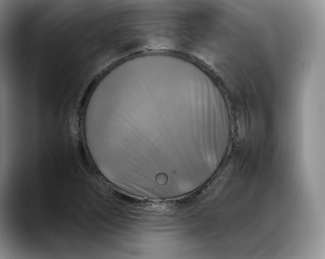 X0000088481266200706121524