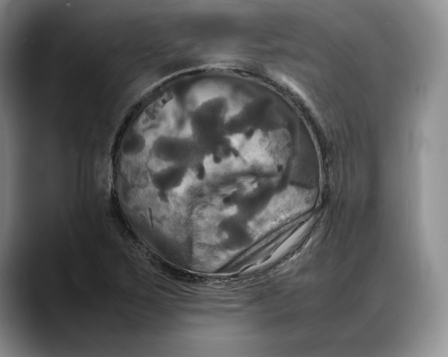 X0000088481267200706121524