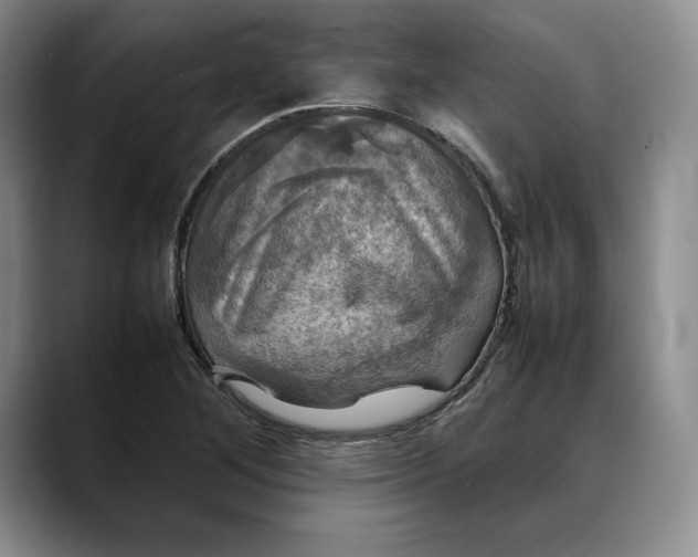 X0000088481268200706121524
