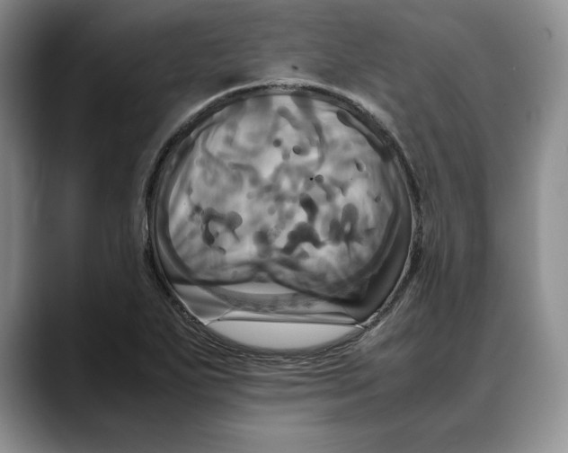 X0000088481271200706121524