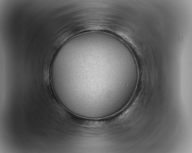 X0000088481273200706121524