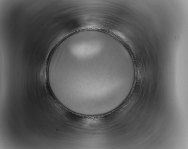 X0000088481274200706121524