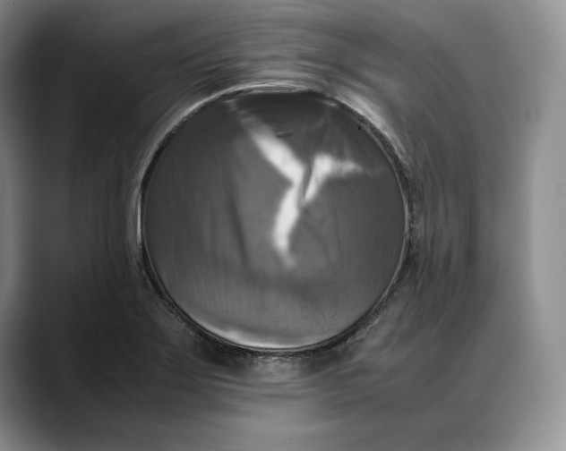X0000088481275200706121524