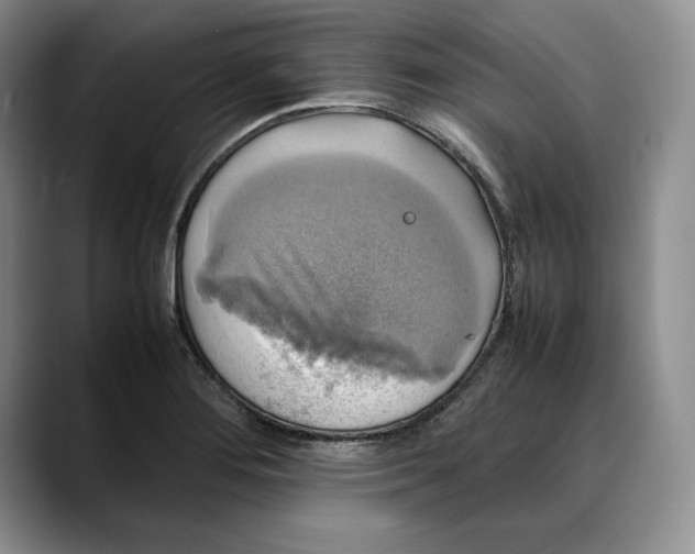 X0000088481276200706121524