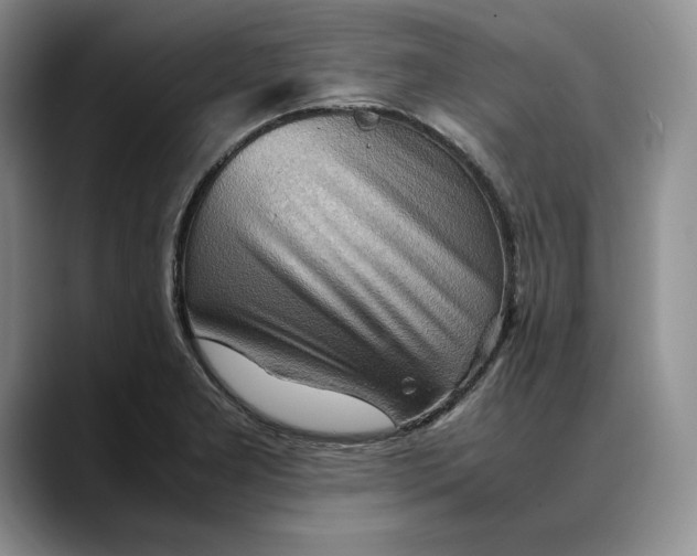X0000088481277200706121524