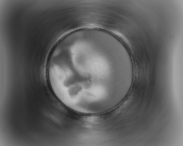 X0000088481278200706121524