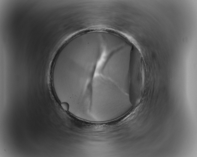 X0000088481279200706121524