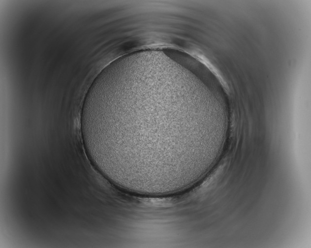 X0000088481281200706121524