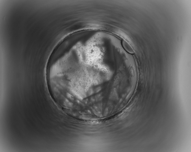 X0000088481283200706121524