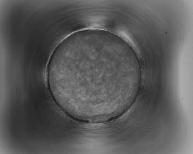 X0000088481284200706121524