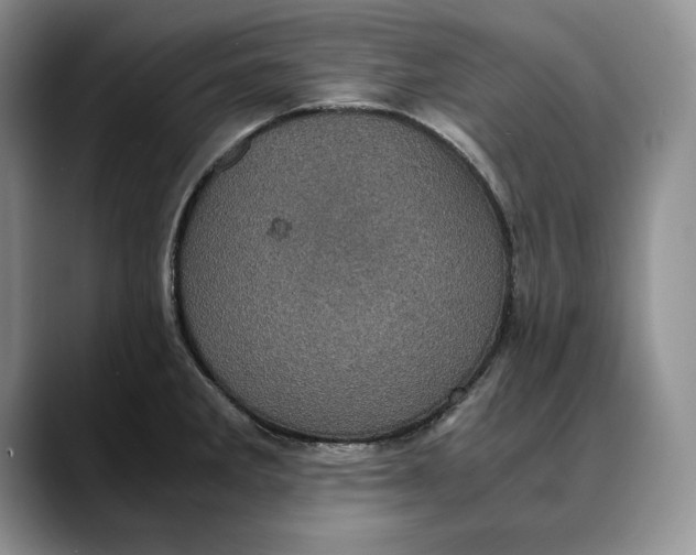 X0000088481285200706121524