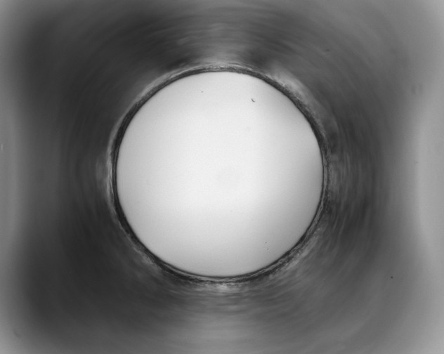 X0000088481286200706121524