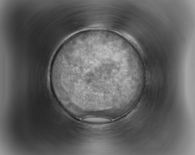 X0000088481288200706121524