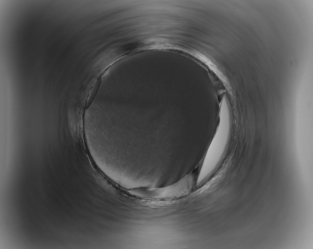 X0000088481289200706121524