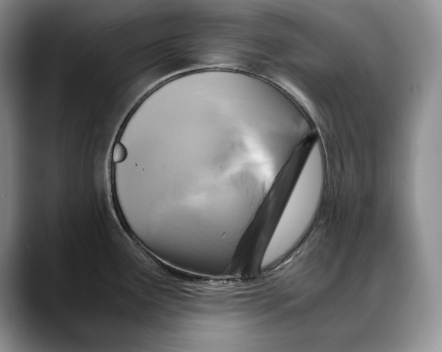 X0000088481291200706121524