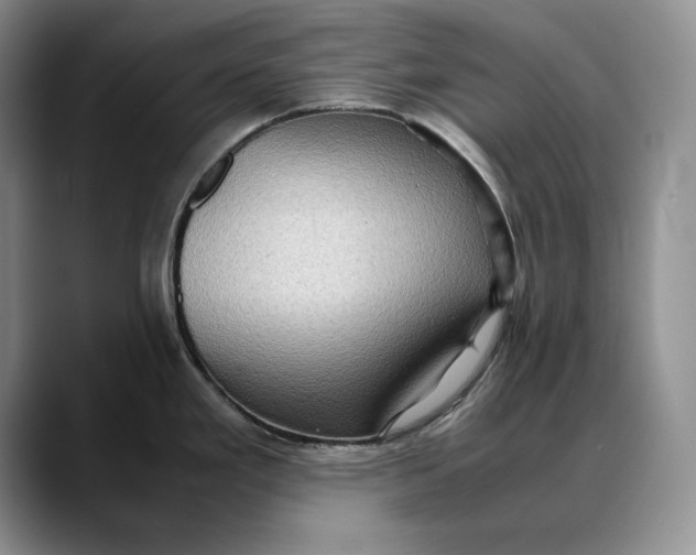 X0000088481293200706121524