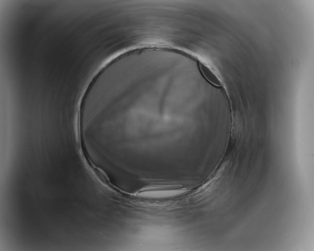 X0000088481295200706121524