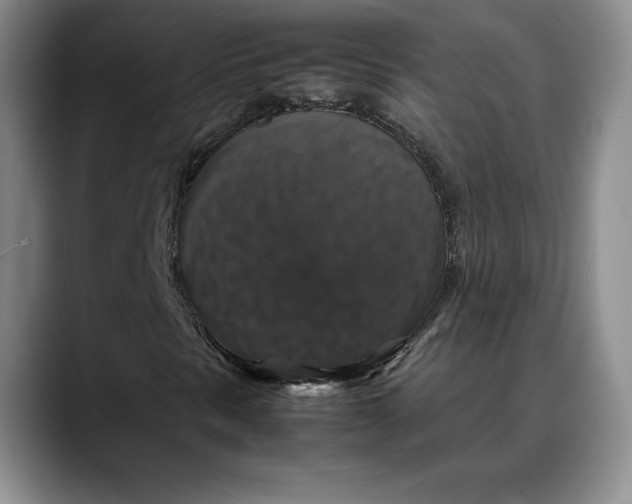 X0000088481297200706121523