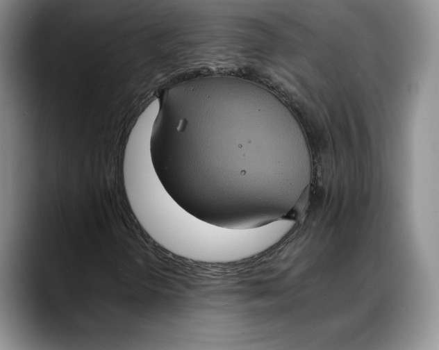 X0000088481298200706121523