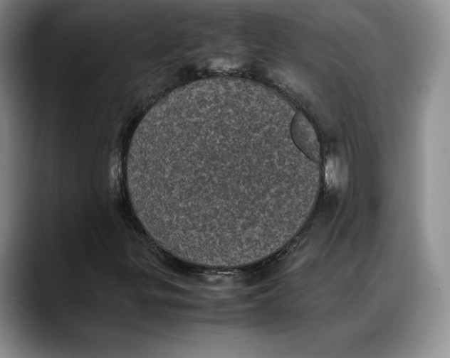 X0000088481299200706121523