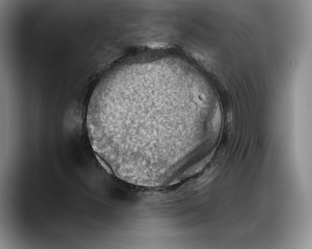 X0000088481300200706121523