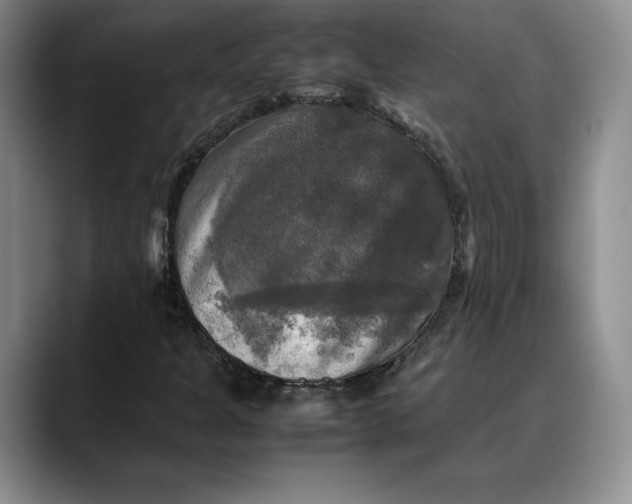 X0000088481301200706121523