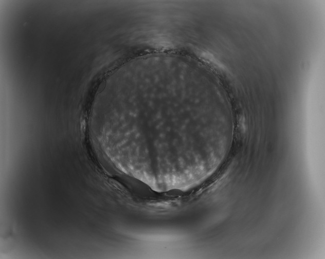 X0000088481302200706121523