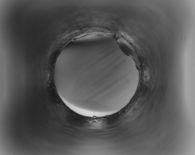 X0000088481303200706121523